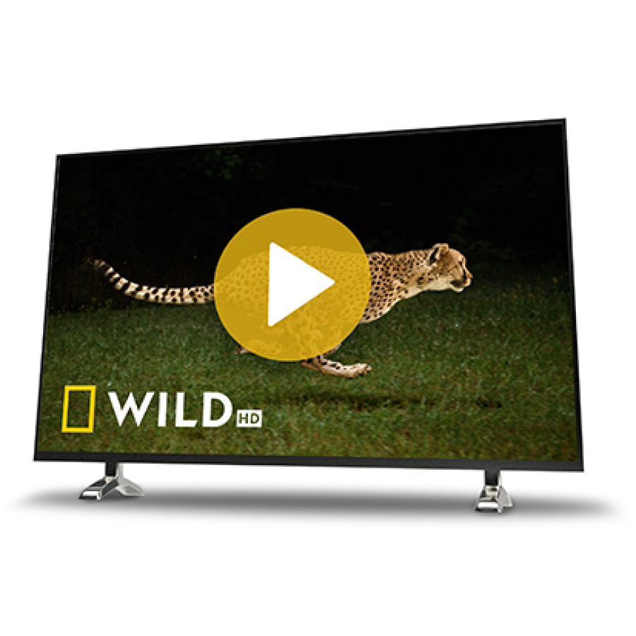 Nat Geo Wild HD ab sofort verfügbar 